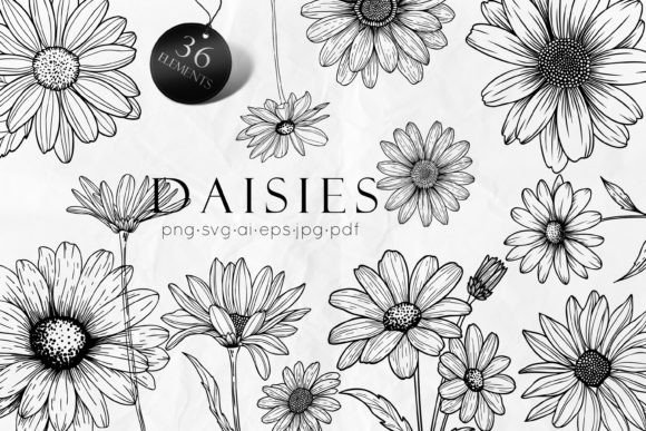 Download Daisy Line Art Drawing SVG - Art Collection