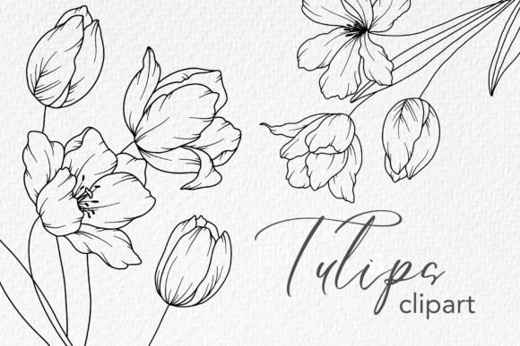 Download Tulips Line Drawing, Floral Line Art - Art Collection